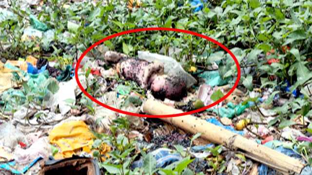 সিদ্ধিরগঞ্জে ময়লার স্তূপ থেকে নবজাতকের লাশ উদ্ধার