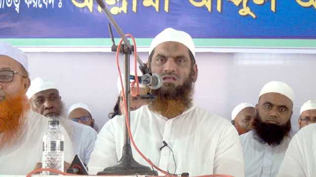 সংস্কার কমিশনে যারা আছেন প্রত্যেকেই একেকজন তসলিমা নাসরিন : মামুনুল হক