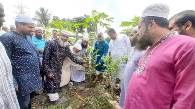 বন্দরে বৃক্ষ রোপনের মধ্যে দিয়ে জামায়াতের জাতীয় সমাবেশ সফল করতে গণসংযোগ