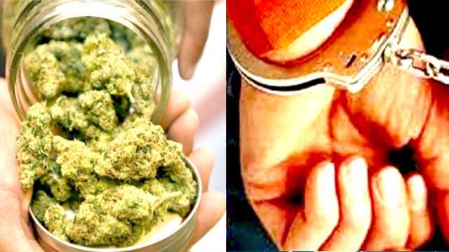 বন্দরে বিশেষ অভিযানে গাঁজাসহ সাগর গ্রেপ্তার