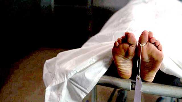 সোনারগাঁয়ে সাপের কামড়ে কৃষকের মৃত্যু