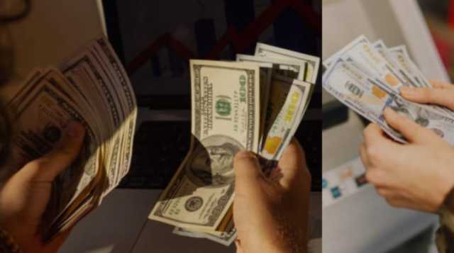 নারায়ণগঞ্জে ট্রাভেল এজেন্সির আড়ালে জাল ডালার বিক্রির ছড়াছড়ি