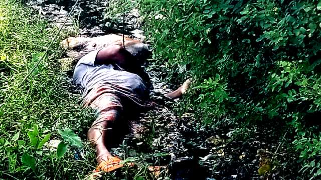 ফতুল্লায় গরুর ঘাস কাটতে গিয়ে বিদ্যুৎস্পৃষ্টে খামারির মৃত্যু