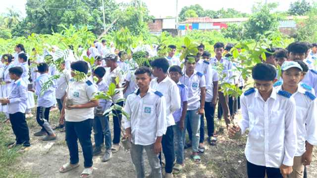 একটি গাছ কাটলে তার বদলে অন্তত ১০টি গাছ লাগাতে হবে : হোসাইন