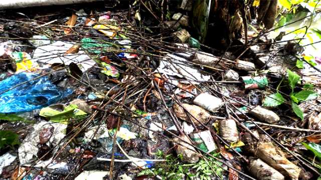 রূপগঞ্জে এক হাজার গাছের চারা বিতরণ না করে খালে ফেলে দিলেন অধ্যক্ষ