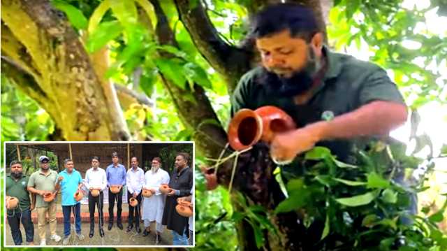 সোনারগাঁয়ে পাখিদের নিরাপদ আশ্রয়ে গাছে গাছে মাটির হাঁড়ি