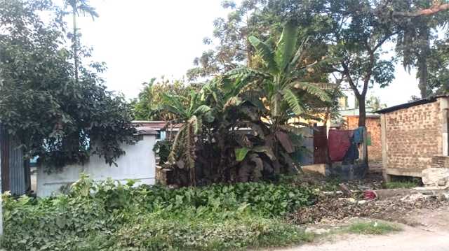 বন্দরের লৌহিয়া খালটি দখল উৎসবে চলছে