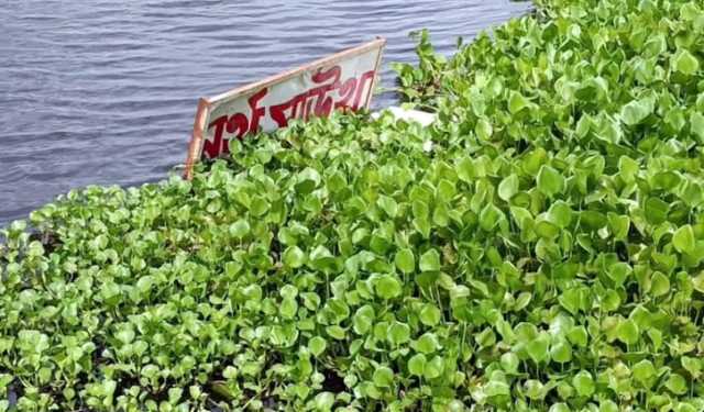 বেলাই বিল ভরাটে হাইকোর্টের স্থিতাবস্থা