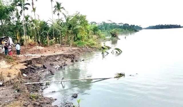 বিষখালির ভাঙনে দিশেহারা নলছিটিবাসী 