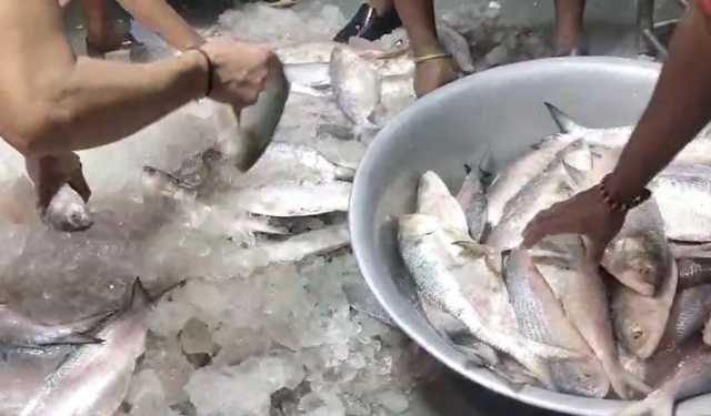 কলকাতায় দামের কারণে আমদানি বন্ধ বাংলাদেশি ইলিশ