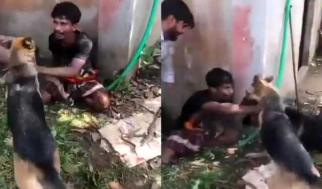 কুকুর লেলিয়ে যুবককে নির্যাতন, আটক ৩
