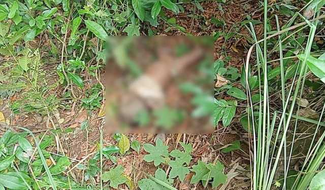 দিনাজপুরে নিখোঁজের ৩ দিন পর শিশুর লাশ উদ্ধার, আটক ৬