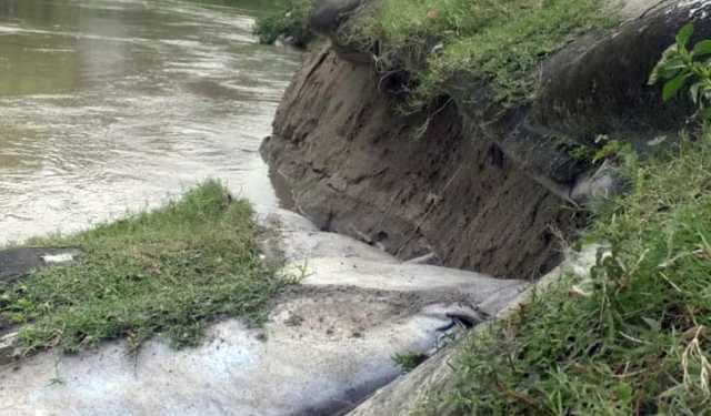 ভাটিয়াপাড়ায় মধুমতির বাঁধে তীব্র ভাঙন, আতঙ্ক