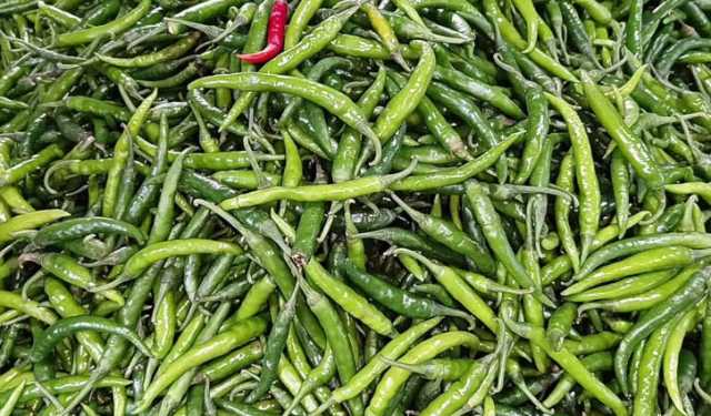 হিলি বাজারে দ্বিগুণ বেড়েছে কাঁচামরিচের দাম 