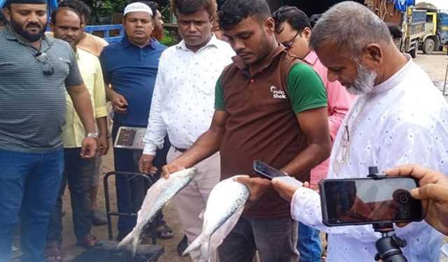 আখাউড়া স্থলবন্দর দিয়ে ভারতে ইলিশ রপ্তানি শুরু