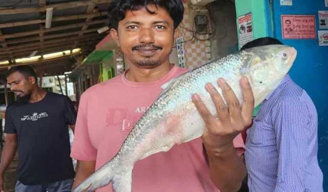 জেলের জালে ২ কেজির ইলিশ, ৬ হাজার টাকায় বিক্রি