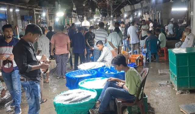 নিষেধাজ্ঞার খবরে হাঁকডাকে মুখর চাঁদপুরে ইলিশের বাজার 