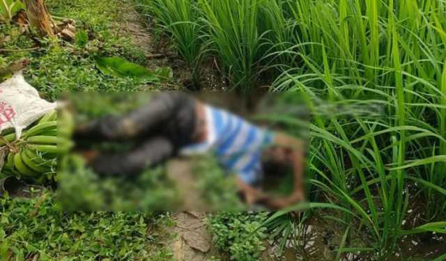 ঈশ্বরদীতে ধানক্ষেত পড়েছিল এক ব্যক্তির মরদেহ