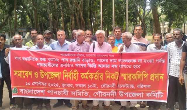 রপ্তানি মূল্য বৃদ্ধি, বরিশালে পান চাষিদের ৮ দফা দাবি
