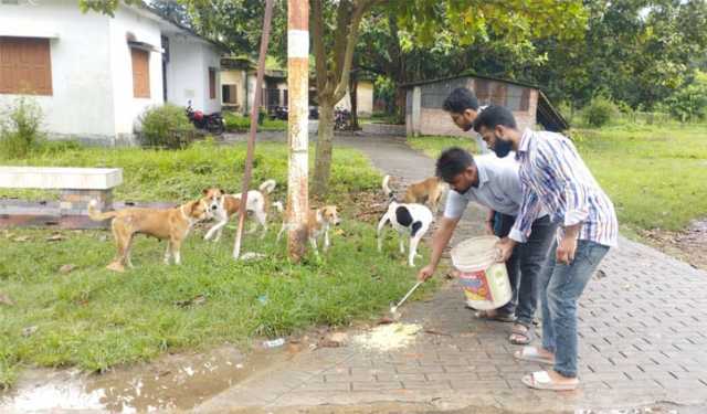 ফাঁকা ক্যাম্পাসে পশু-পাখিদের পাশে রাকসুর ছাত্রদল সমর্থীত প্রার্থী