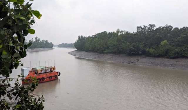১ সেপ্টেম্বর থেকে সবার জন্য উন্মুক্ত সুন্দরবন