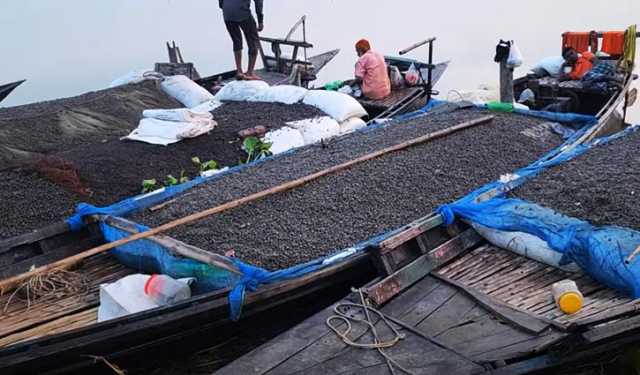 শামুক কুড়িয়ে চলে সংসার
