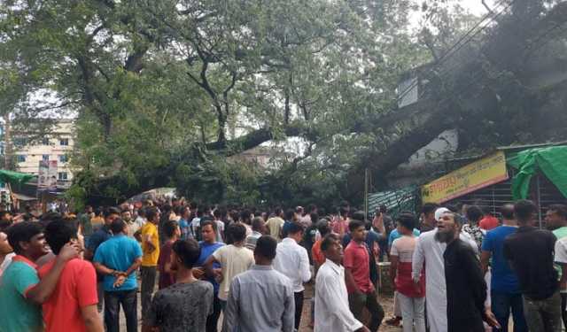 শতবর্ষী গাছ উপড়ে ভবনের ওপর, আহত ১