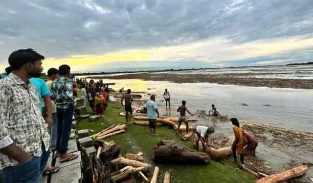 কালজানি নদী দিয়ে ভেসে এসেছে হাজারো গাছের গুঁড়ি