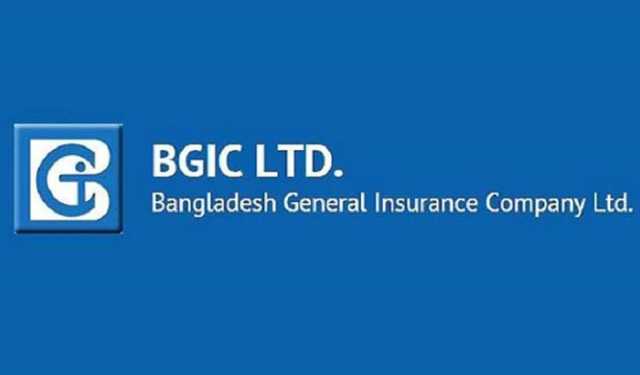 বিজিআইসির ক্রেডিট রেটিং নির্ণয়