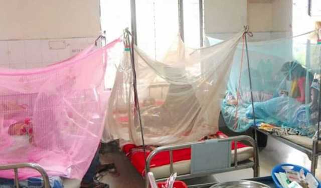 ডেঙ্গু রোগীদের চিকিৎসায় জরুরি নির্দেশনা