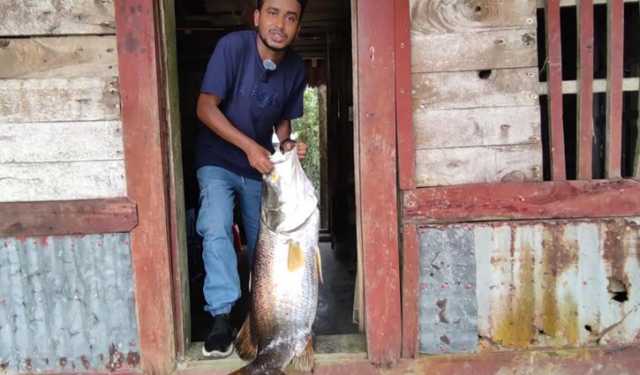 সুন্দরবনে মিলল ১৭ কেজির কোরাল 