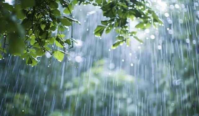 বৃষ্টির দাপট চলবে আরো কয়েকদিন, কমবে পরের সপ্তাহে