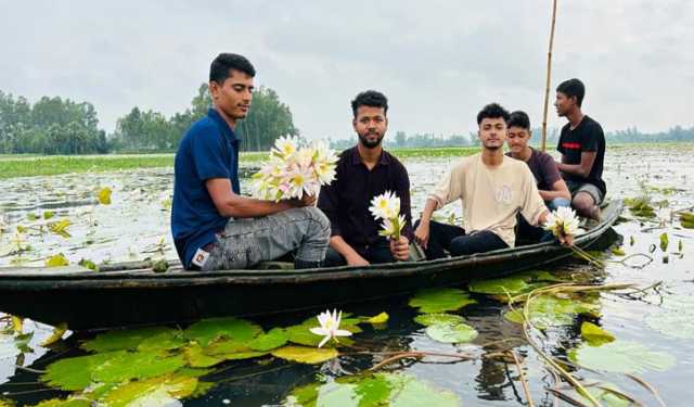 সাদা শাপলার বিল ছড়াচ্ছে মুগ্ধতা  