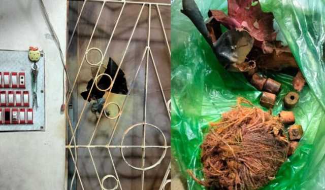গ্রেটা টুনবার্গসহ গাজা ফ্লোটিরার ২০০ জনকে আটক করেছে ইসরায়েল