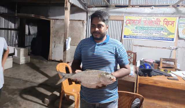 ৬ হাজার টাকায় বিক্রি এক ইলিশ
