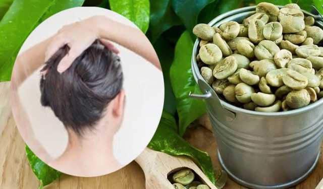 চুল পড়া কমাবে গ্রিন কফি
