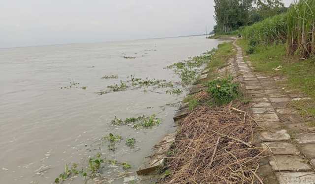 প্রতিদিন বাড়ছে যমুনার পানি