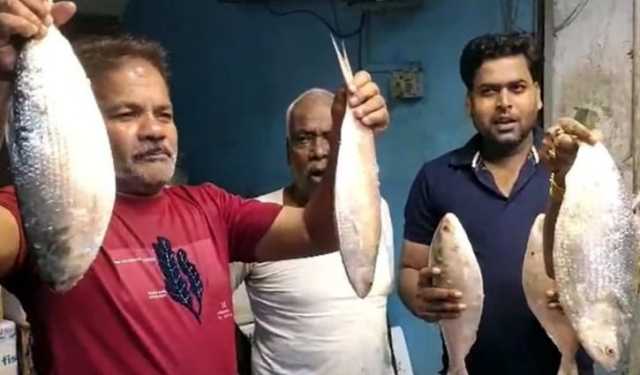 কলকাতার বাজারে পৌঁছালো বাংলাদেশের ইলিশ, আকাশ ছোঁয়া দাম