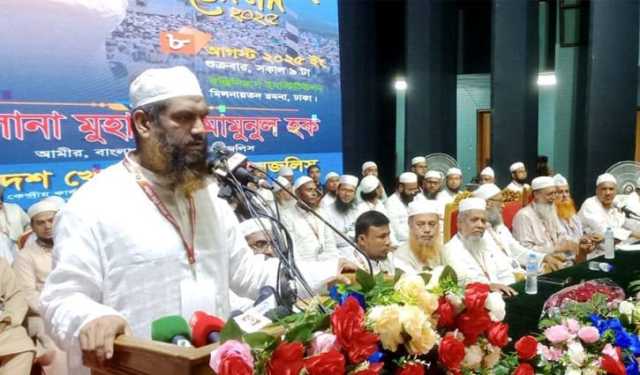 বিএনপির ভূমিকায় সংস্কারে অন্তর্বর্তীকালীন সরকার ব্যর্থ:  মাওলানা মামুনুল হক