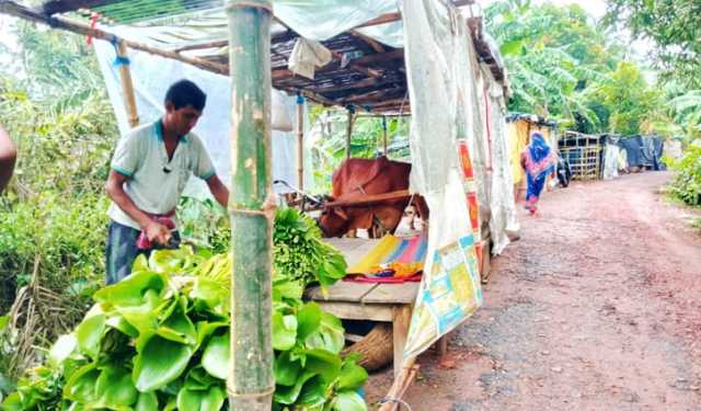 জলাবদ্ধ ভবদহে রাস্তার ওপর গরু-ছাগলের সঙ্গে থাকছে মানুষ