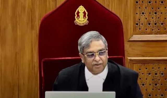 ‘কুকুররাও আমাকে আশীর্বাদ করছে’
