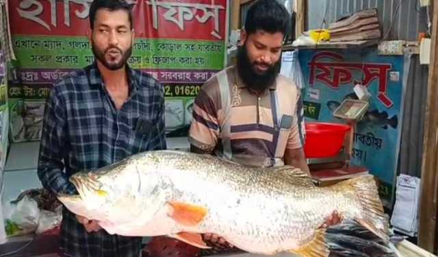 সাগরে ভাসছিল ২২ কেজির কোরাল, ধরা পড়ল জালে  