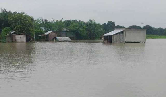 চাঁপাইনবাবগঞ্জে পদ্মার পানি বিপৎসীমার ৪০ সেমি নিচে প্রবাহিত