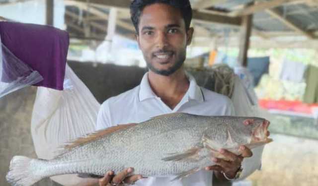 পটুয়াখালীতে ৫ কেজির পোয়া মাছ ৮০ হাজারে বিক্রি