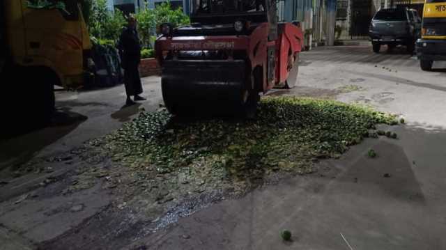 সাতক্ষীরায় ট্রাকভর্তি ৪ মে. টন অপরিপক্ক আম জব্দ