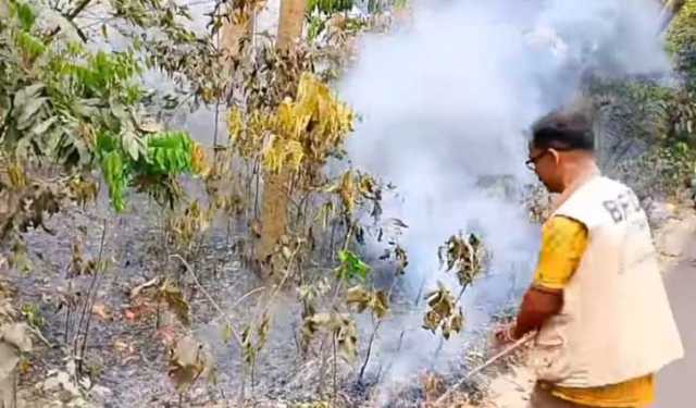 সাতছড়ি উদ্যানে আবারো আগুন, পুড়েছে ৩০ শতাংশ বনভূমি