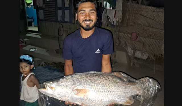 জেলের জালে ধরা পড়লো ১২ কেজির কোরাল