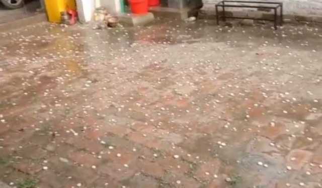 নাটোরে শিলাবৃষ্টি, ফল ও ফসলের ক্ষতি