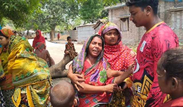 কচি ঘাস খেয়ে ৩ গাভির মৃত্যু, নমুনা সংগ্রহ