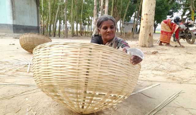 সমান কাজ করেও কম মজুরি পান আদিবাসী নারীরা
